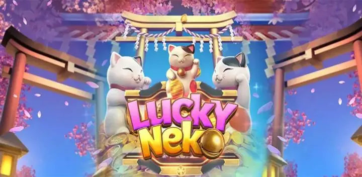 Strategi Bermain Slot Lucky Neko untuk Pemula: Panduan Langkah demi Langkah